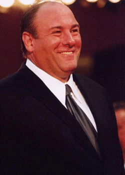 Cómo James Gandolfini Perdió $30 Millones por No Tener Estructura